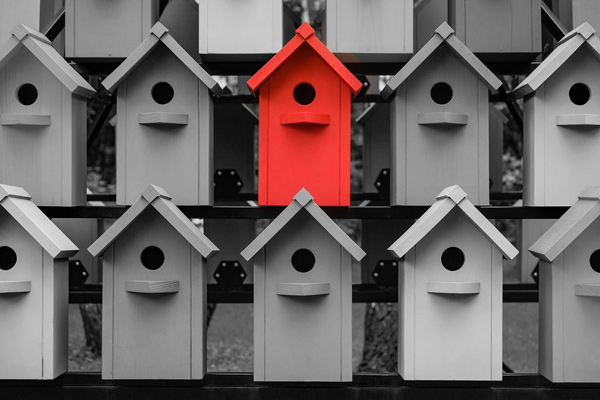 black and white image of wooden bird houses, one is bright red.